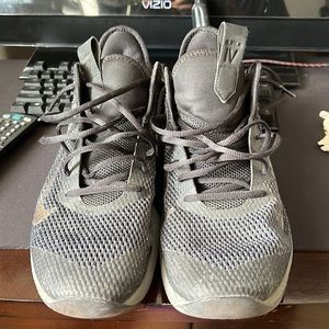 Nike Lebron Witness IV Size 11